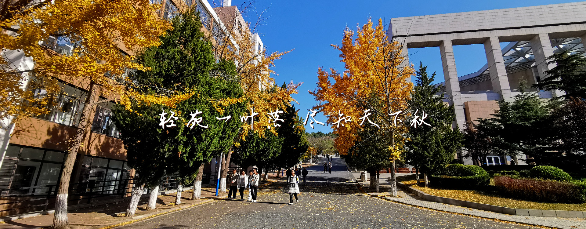 澳门博彩网站
