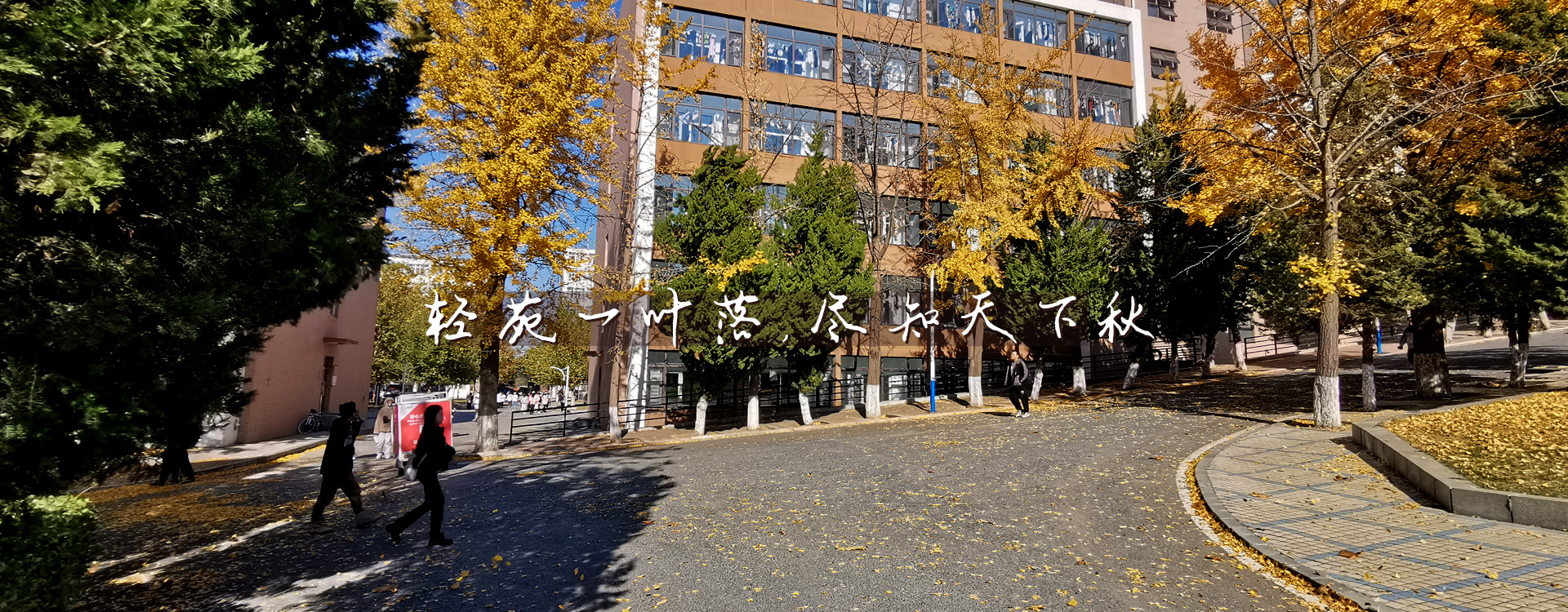 澳门博彩网站
