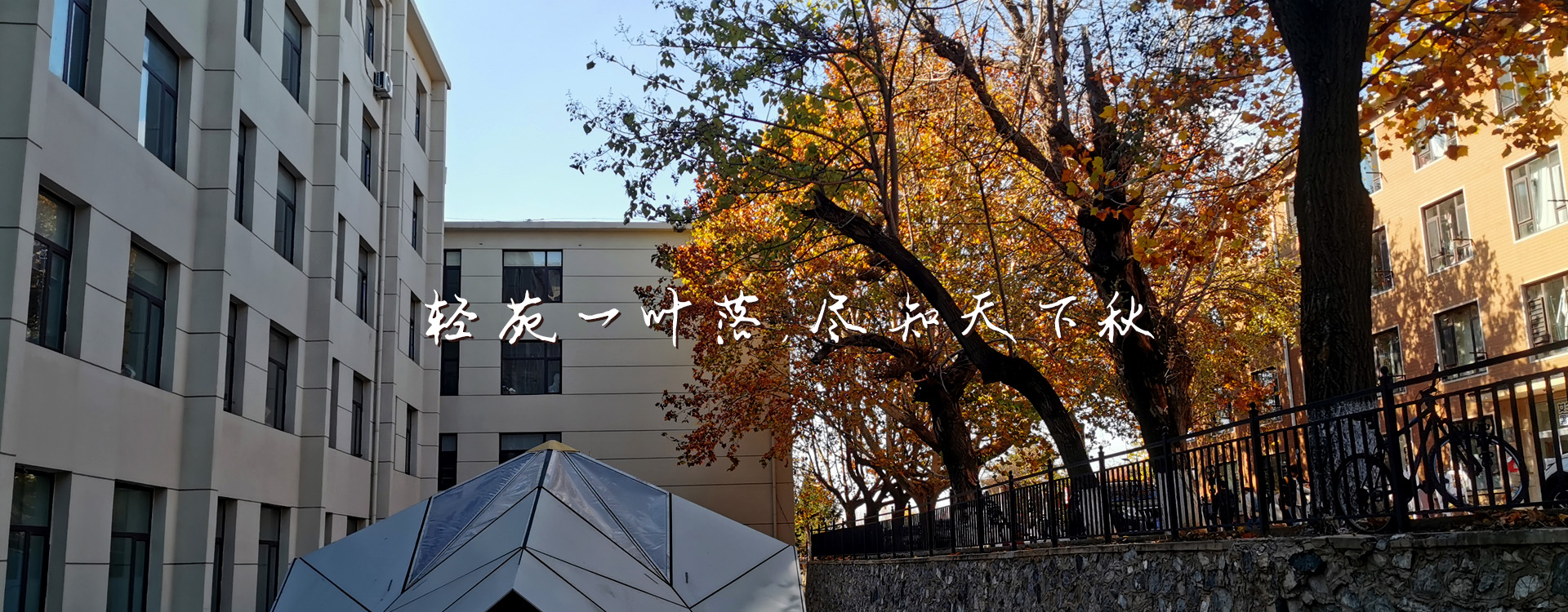 澳门博彩网站