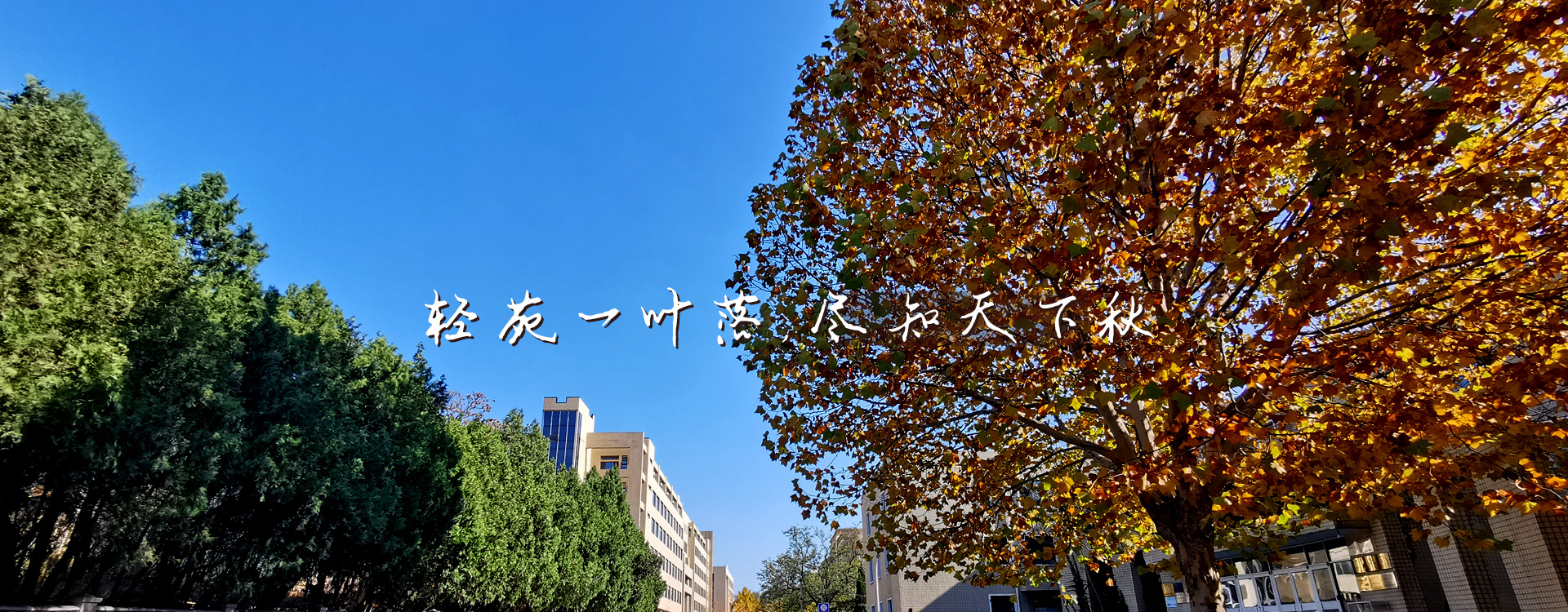 澳门博彩网站