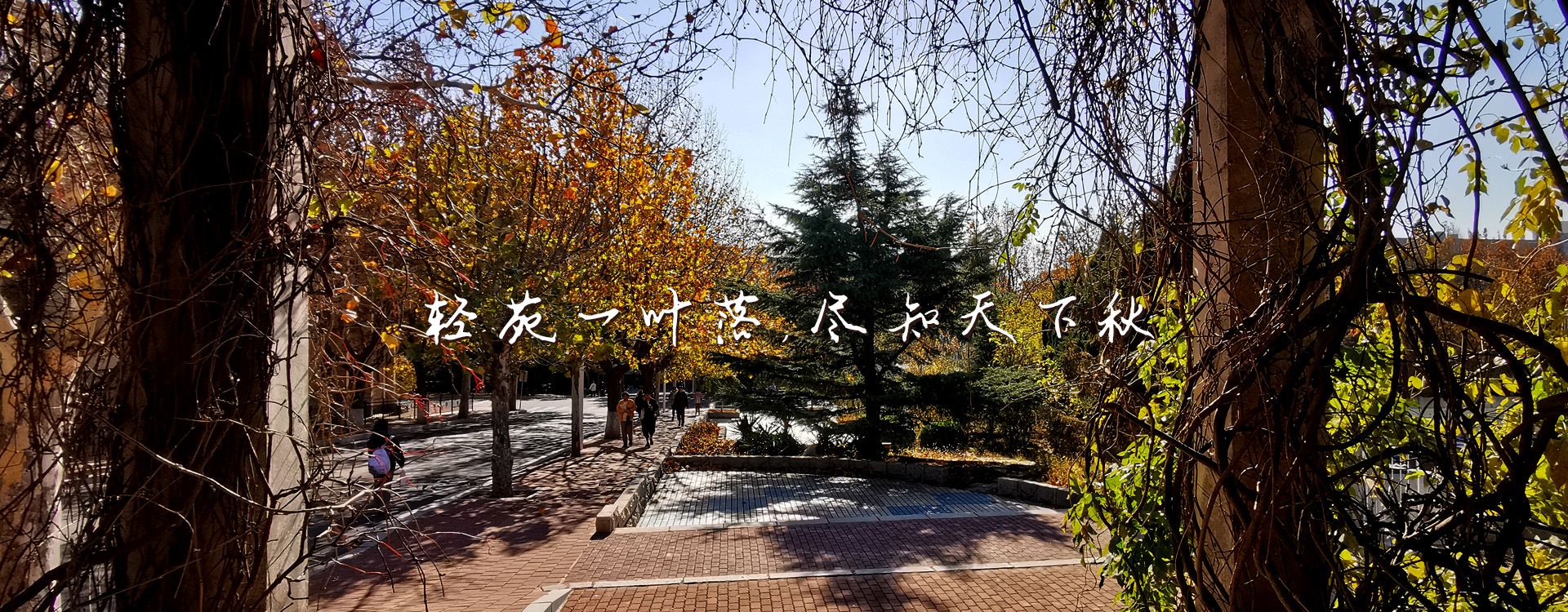 澳门博彩网站