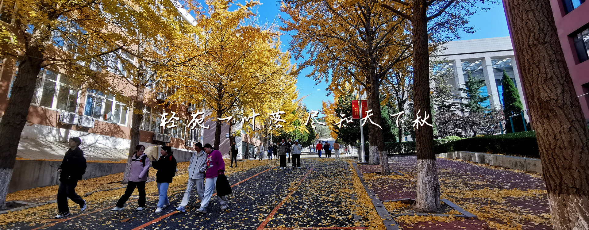 澳门博彩网站