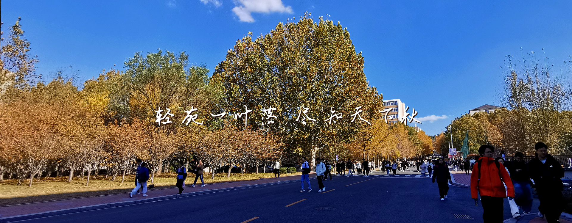 澳门博彩网站